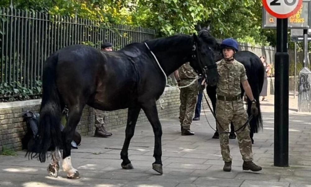 Αναστάτωση στο Λονδίνο: Άλογα του στρατού ξέφυγαν ξανά και έτρεχαν πανικόβλητα στο κέντρο (Βίντεο)
